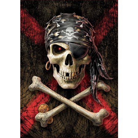 Buropro Casse Tete Tete De Mort Pirate 500