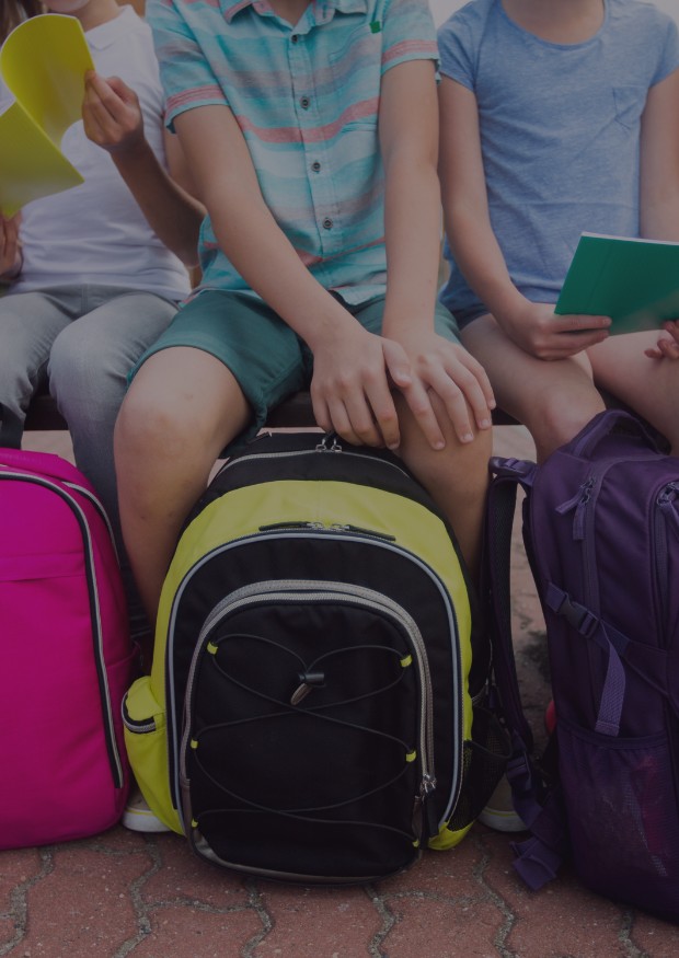 Pédagogie et scolaire