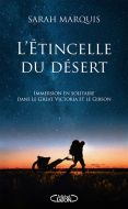 L' étincelle du désert