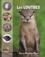 Les loutres