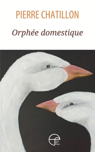 281367-orphedomestique.jpg