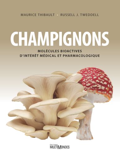 293808-champignons.jpg