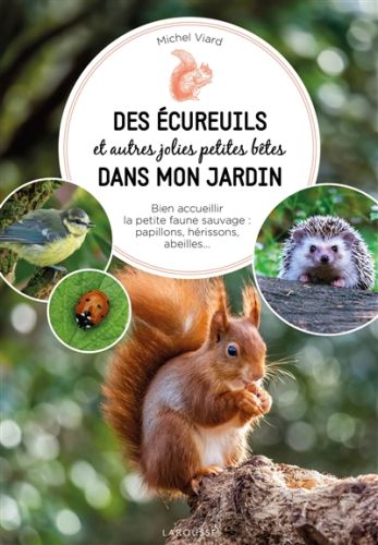 Des écureuils et autres jolies petites bêtes dans mon jardin : bien accueillir la petite faune sauva