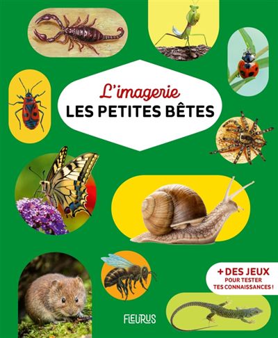 Les petites bêtes, imagerie...