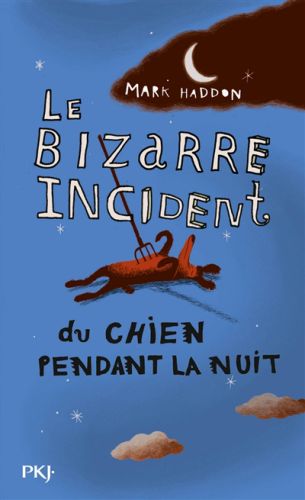 Bizarre incident du chien pendant la nuit le