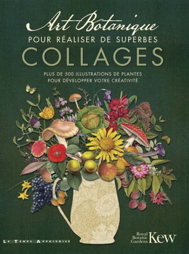 Art botanique pour réaliser de superbes collages : plus de 500 illustrations de plantes pour dévelop