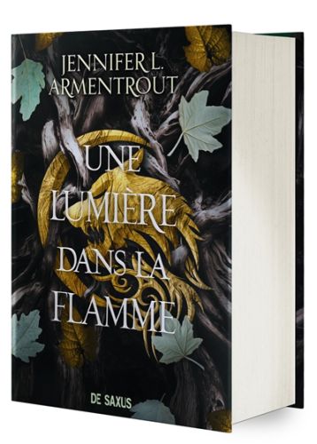 Une lumière dans la flamme