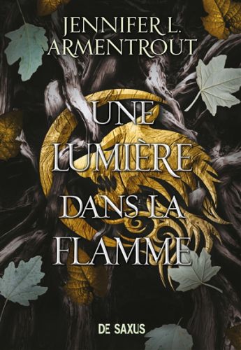 Une lumière dans la flamme