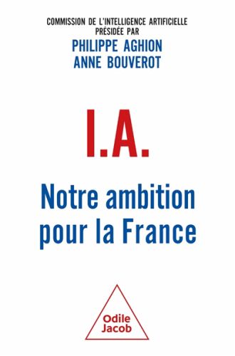 Ia : notre ambition pour la france