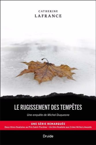 Le rugissement des tempêtes : une enquête de michel duquesne