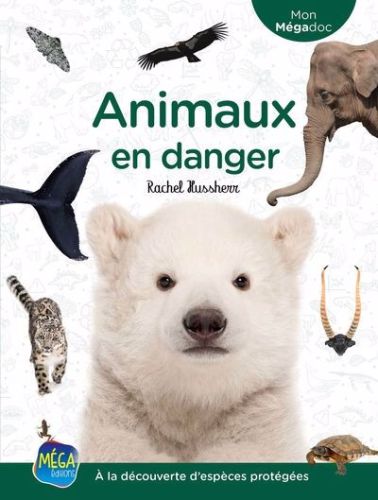 Animaux en danger