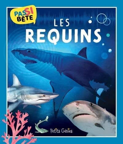 Pas si bête les requins