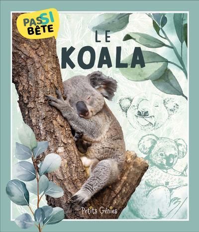 Le koala