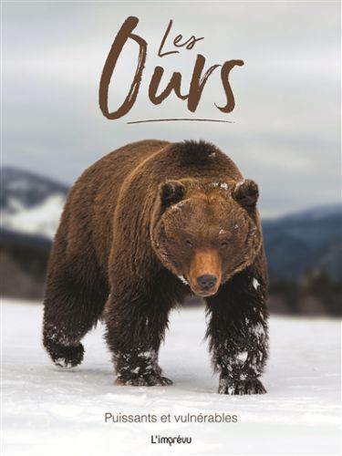 Les ours