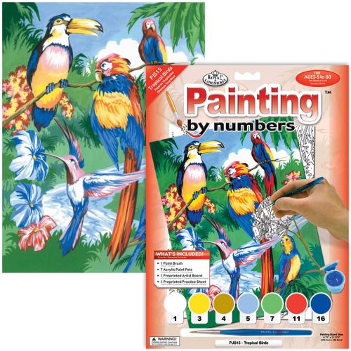 Peinture à numéros junior petit- oiseaux tropicaux