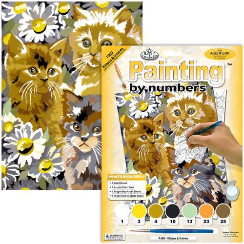 Peinture à numéros - chaton et marguerites