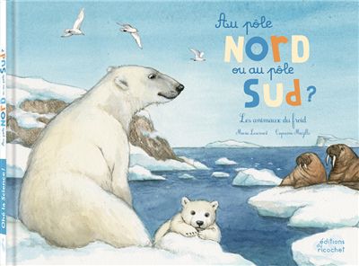 Au pôle nord ou au pôle sud ?