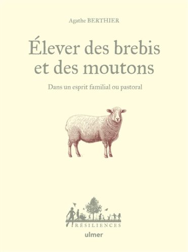 Elever des brebis et des moutons