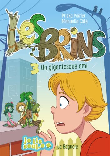 Les brins 3