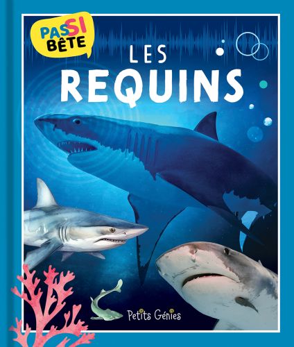 Pas si bête les requins