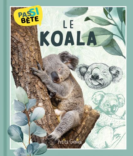 Pas si bête le koala