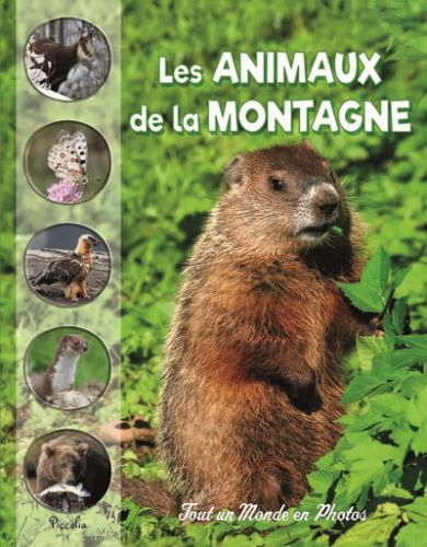 Les animaux de la montagne