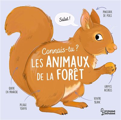 Connais-tu les animaux de la forêt ?